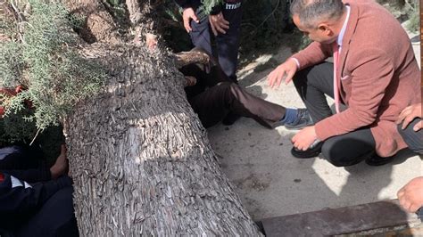 Saadet Partisi Burdur Belediye Başkan Adayı ve Oğlu Rüzgarın Devirdiği Ağacın Altında Yaralandı